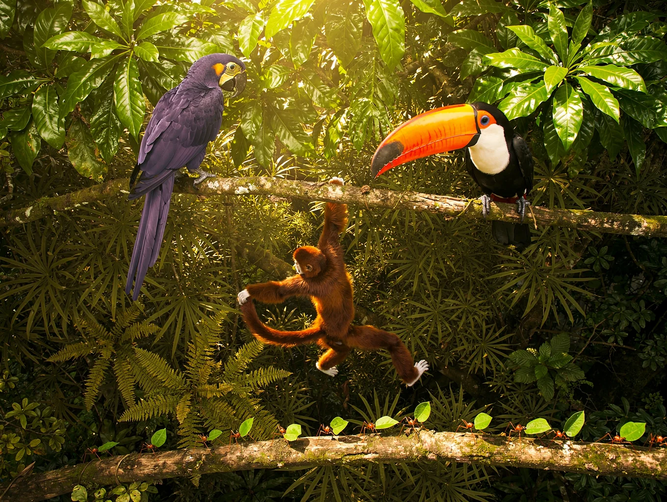 Biodiversité et Écosystèmes